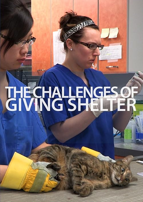 The Challenges of Giving Shelter