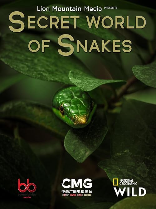 The Secret World of Snakes