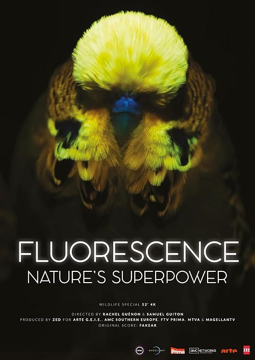 Fluorescence: Nature's Superpower