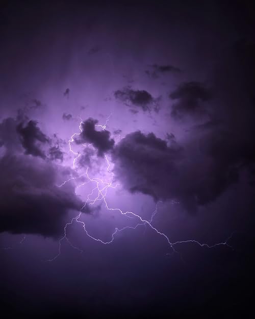 Purple Reign