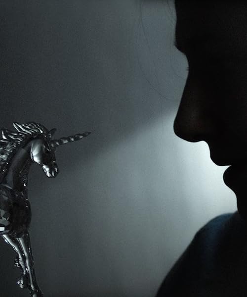 The Glass Menagerie - Unanswered Questions - answered