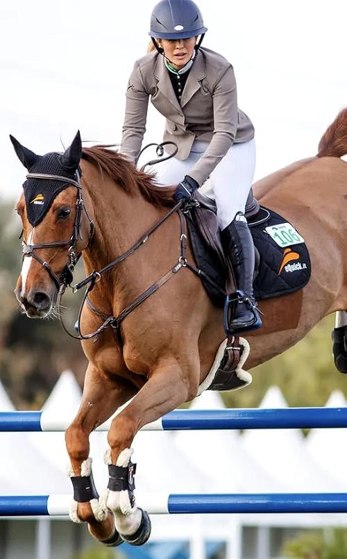 Show Ponies Jump Off