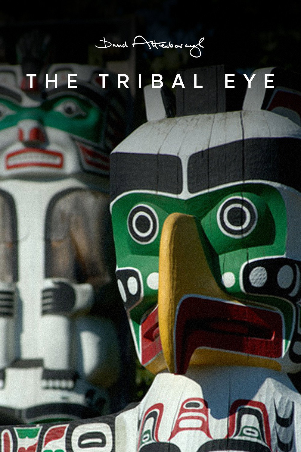 The Tribal Eye