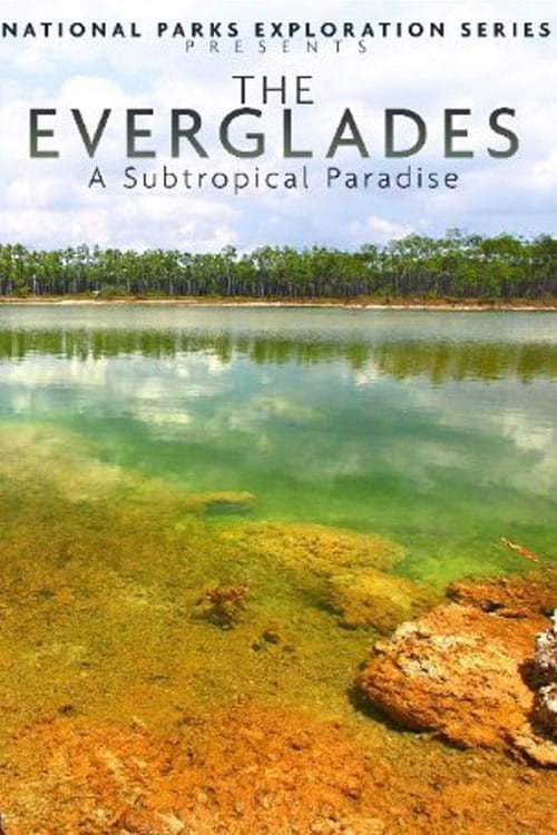 National Parks Exploration Series: The Everglades - A Subtropical Paradise