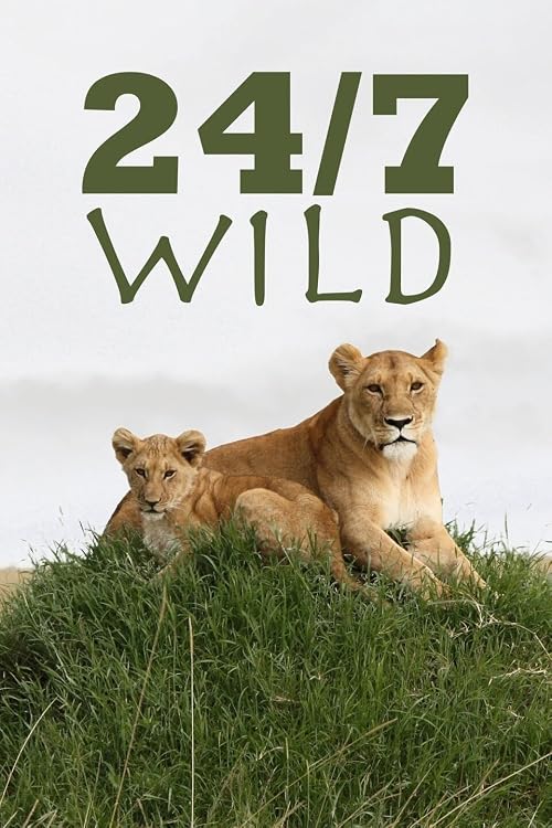 24/7 Wild