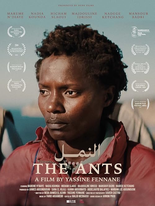 The Ants