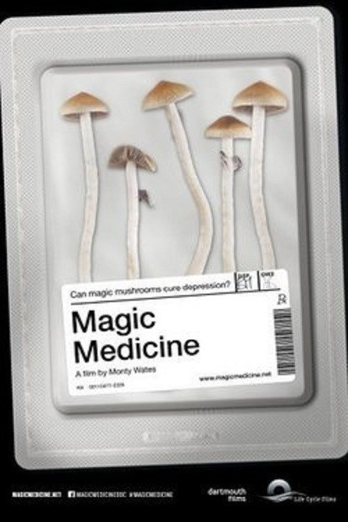 Magic médecine - Les champignons magiques peuvent-ils soigner la dépression