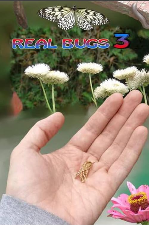 Real Bugs 3