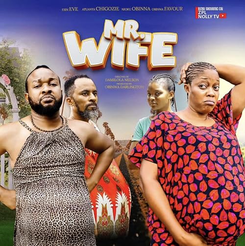 Mr Wife