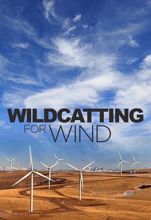 Wildcatting for Wind
