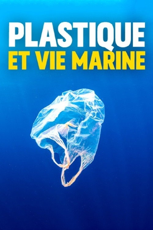 Plastique et vie marine : une cohabitation à la dérive