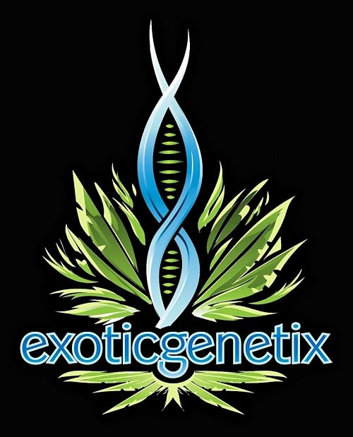 We Speak with Exotic Genetix at Cannacon
