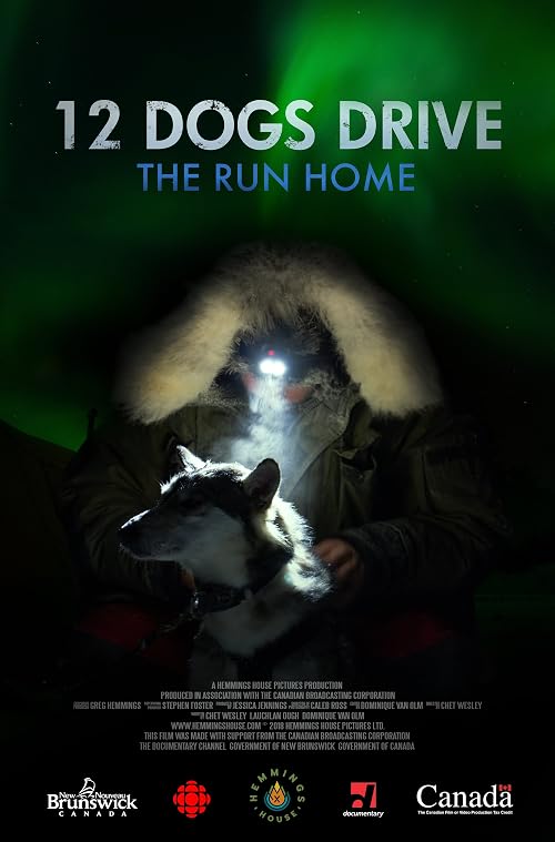 12 Dogs Drive - The Run Home