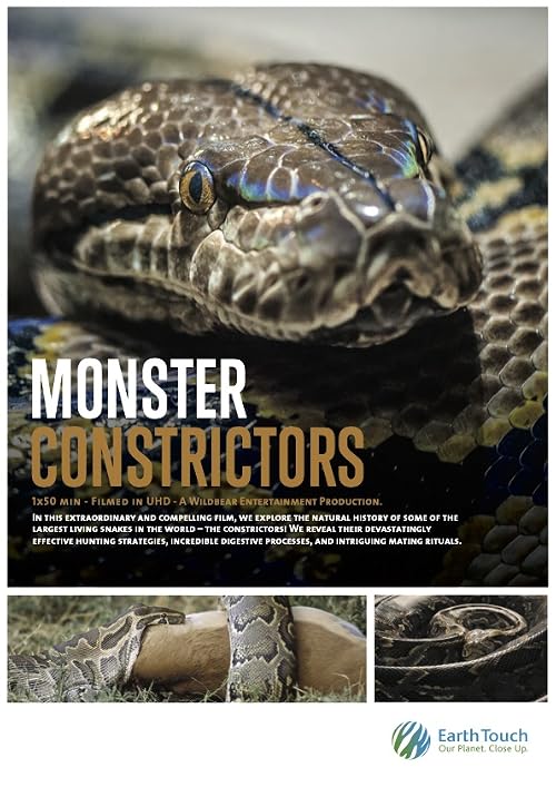 Monster Constrictors
