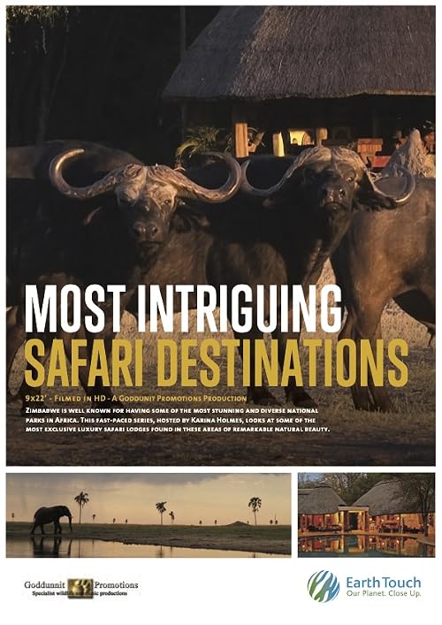 Karina Most Intriguing Safari Destinations