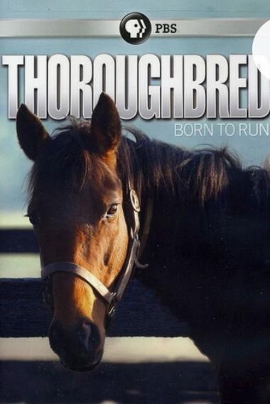 Thoroughbred: Born to Run