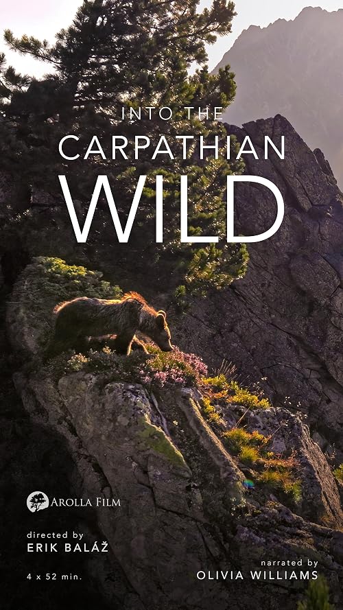 Into the Carpathian Wild, Autumn
