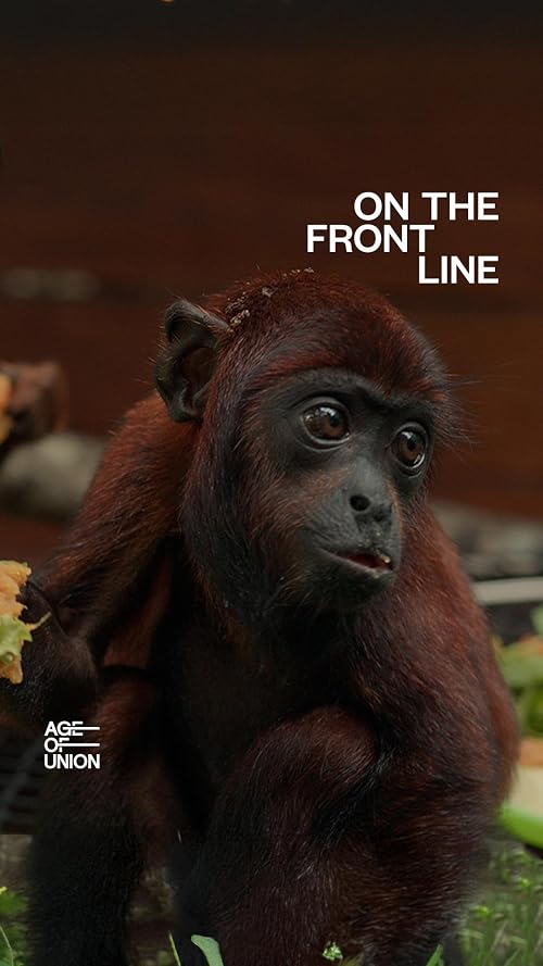 On the Frontline