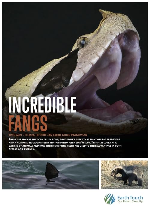 Incredible Fangs