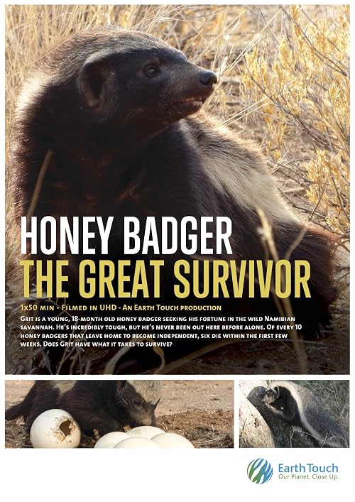 Honey Badger: The Great Survivor