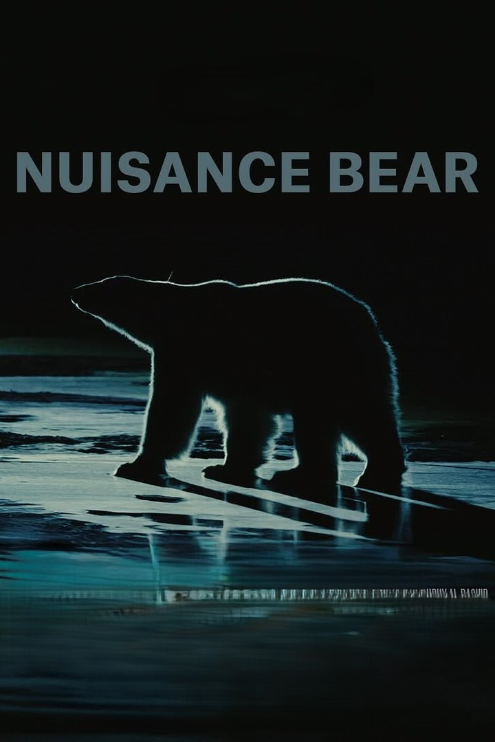 Nuisance Bear