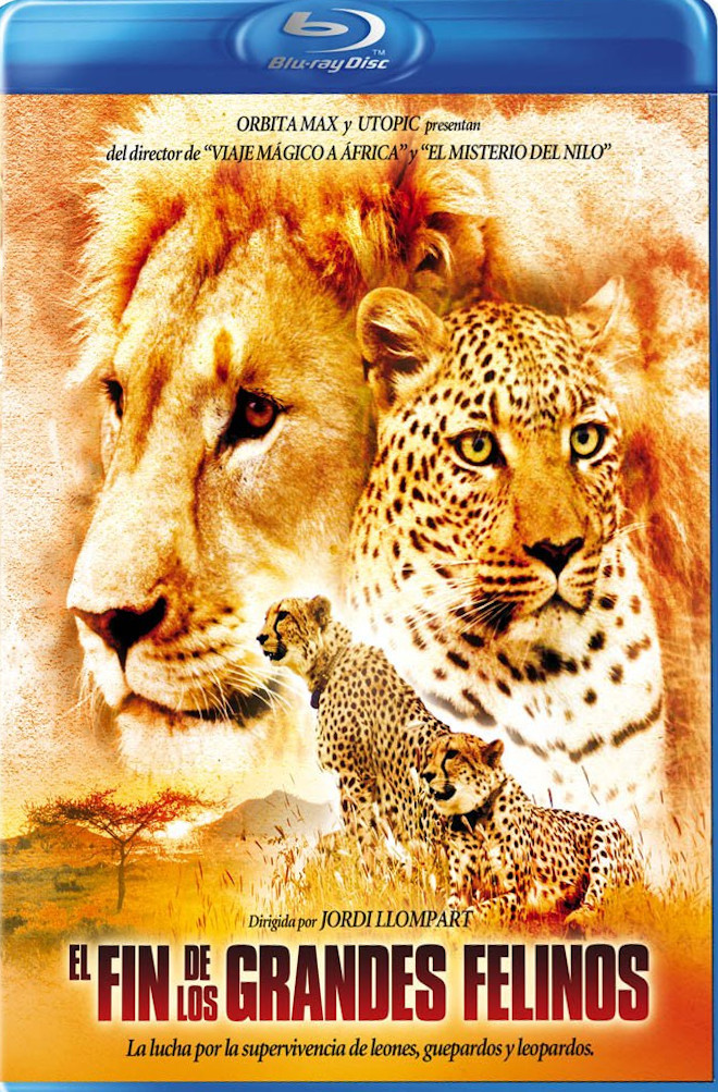 El fin de los grandes felinos