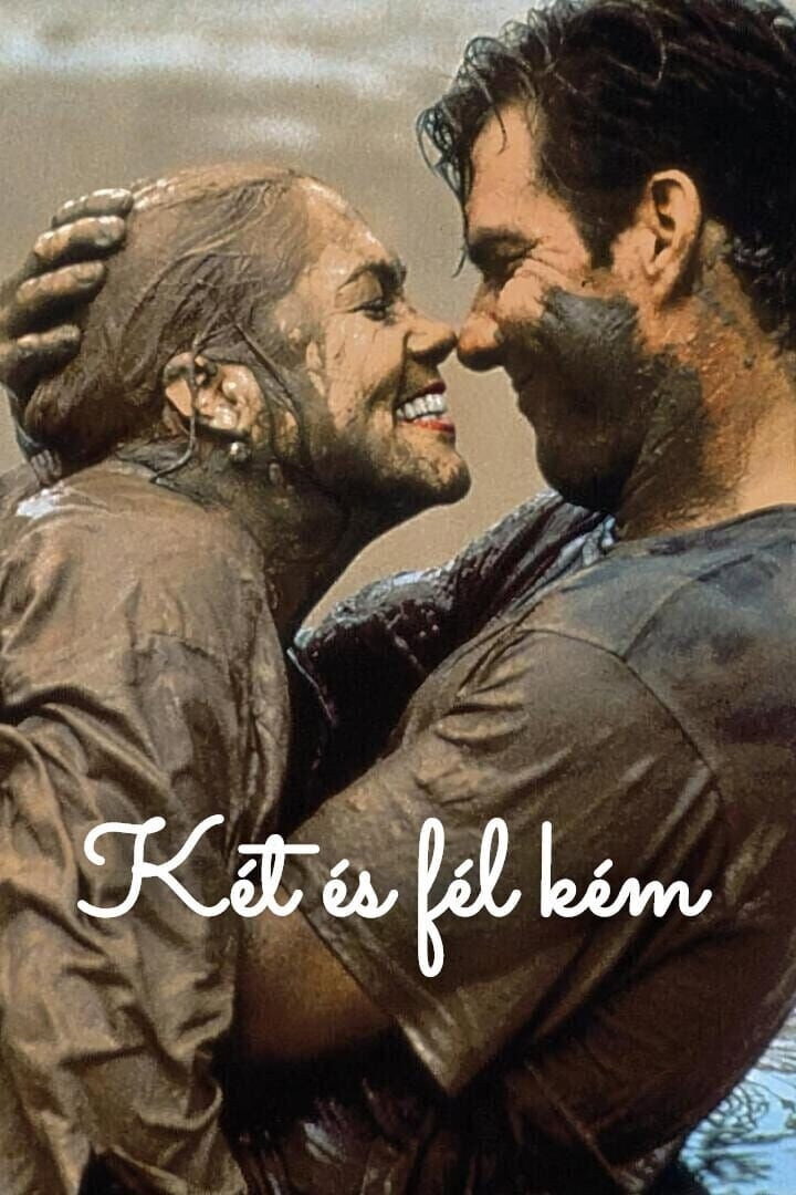 מרגלים במשרה חלקית