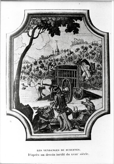 Les vendanges de Suresnes
