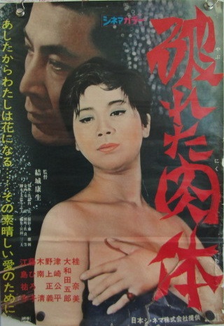 Yabureta nikutai