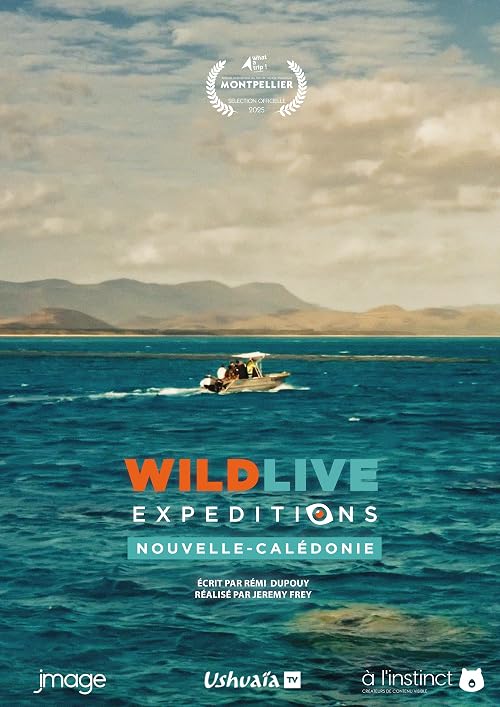 Wildlive Expeditions