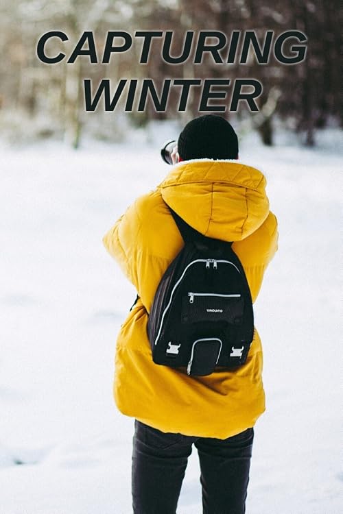 Capturing Winter