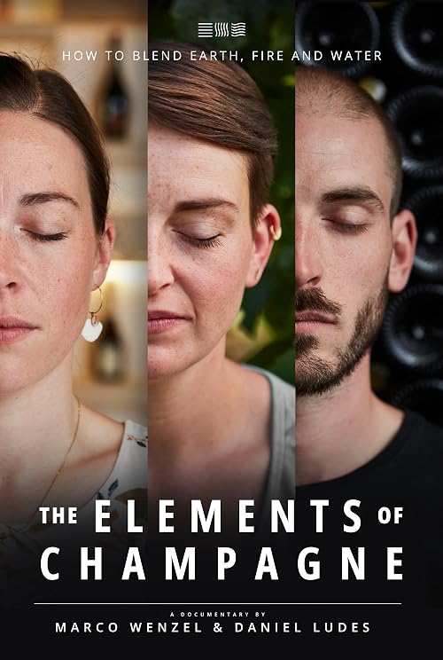 The Elements of Champagne