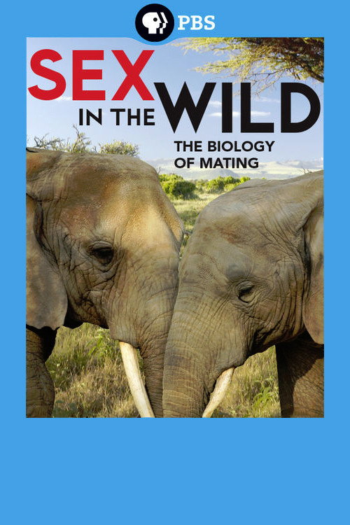 Born in the Wild