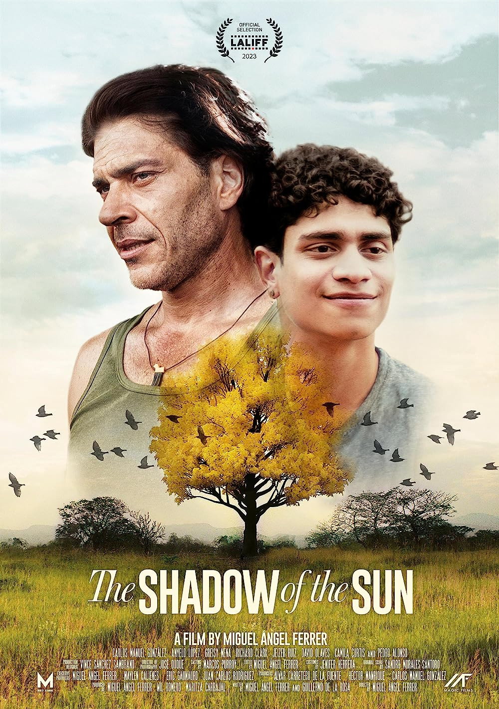 La sombra del sol