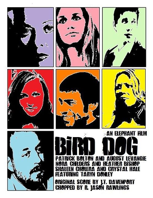 Bird Dog