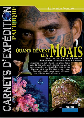 Pacifique, quand rêvent les moaïs