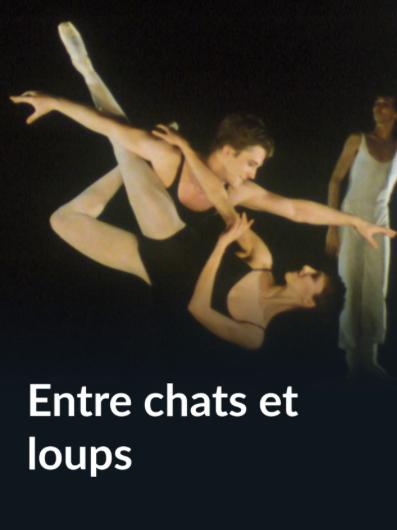 Entre chats et loups