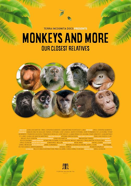Monkeys and More: Our Closest Relatives