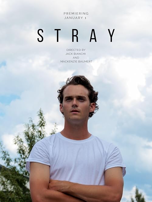 Stray