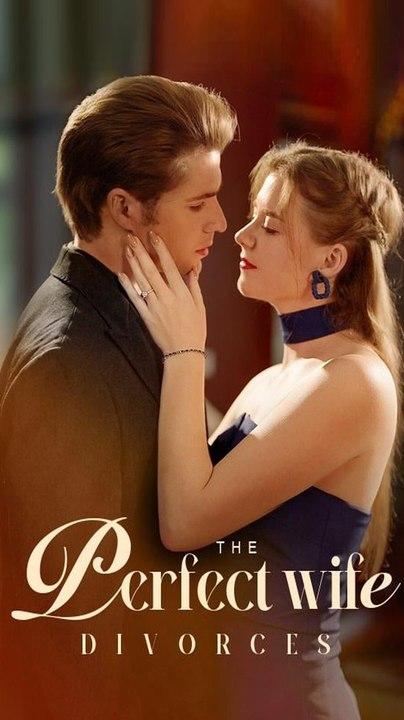 The Perfect Wife Divorces