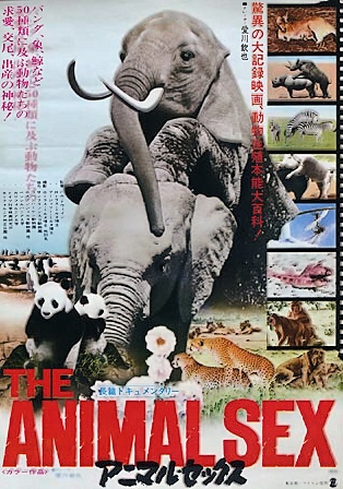 Call of the Wild: Sex in the Animal Kingdom