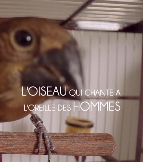 L'oiseau qui chante à l'oreille des hommes