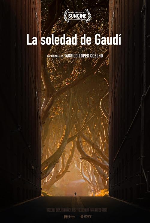 La soledad de Gaudí
