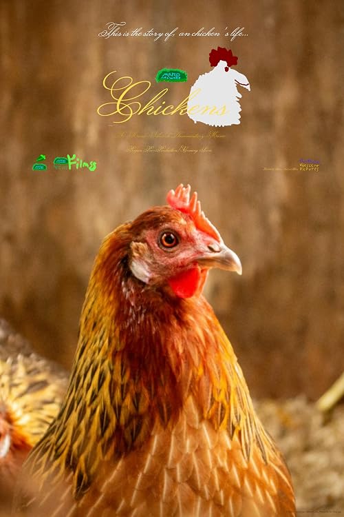 Chickens: A Marco Network Documentary Movie