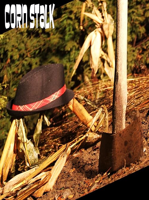 Corn Stalk