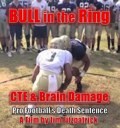 Bull in the Ring