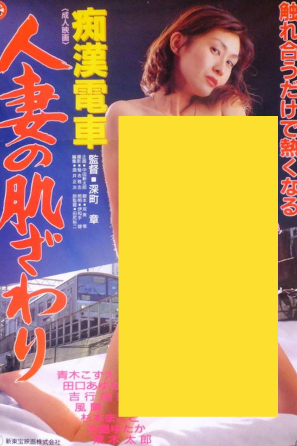 Chikan densha: Hitozuma no hadazawari