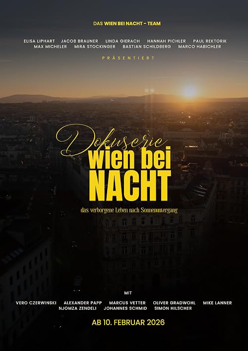 Wien bei Nacht