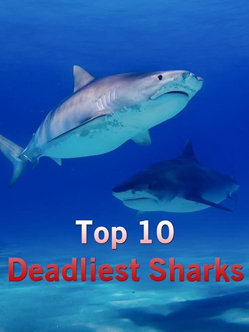 Top 10 Deadliest Sharks