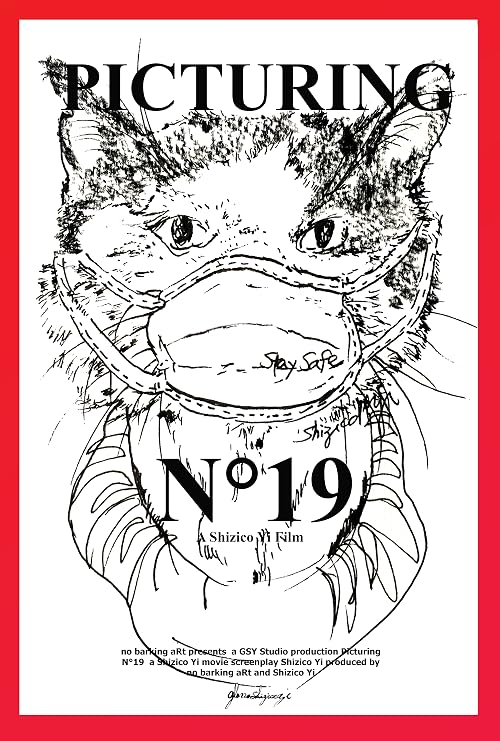 Picturing No.19